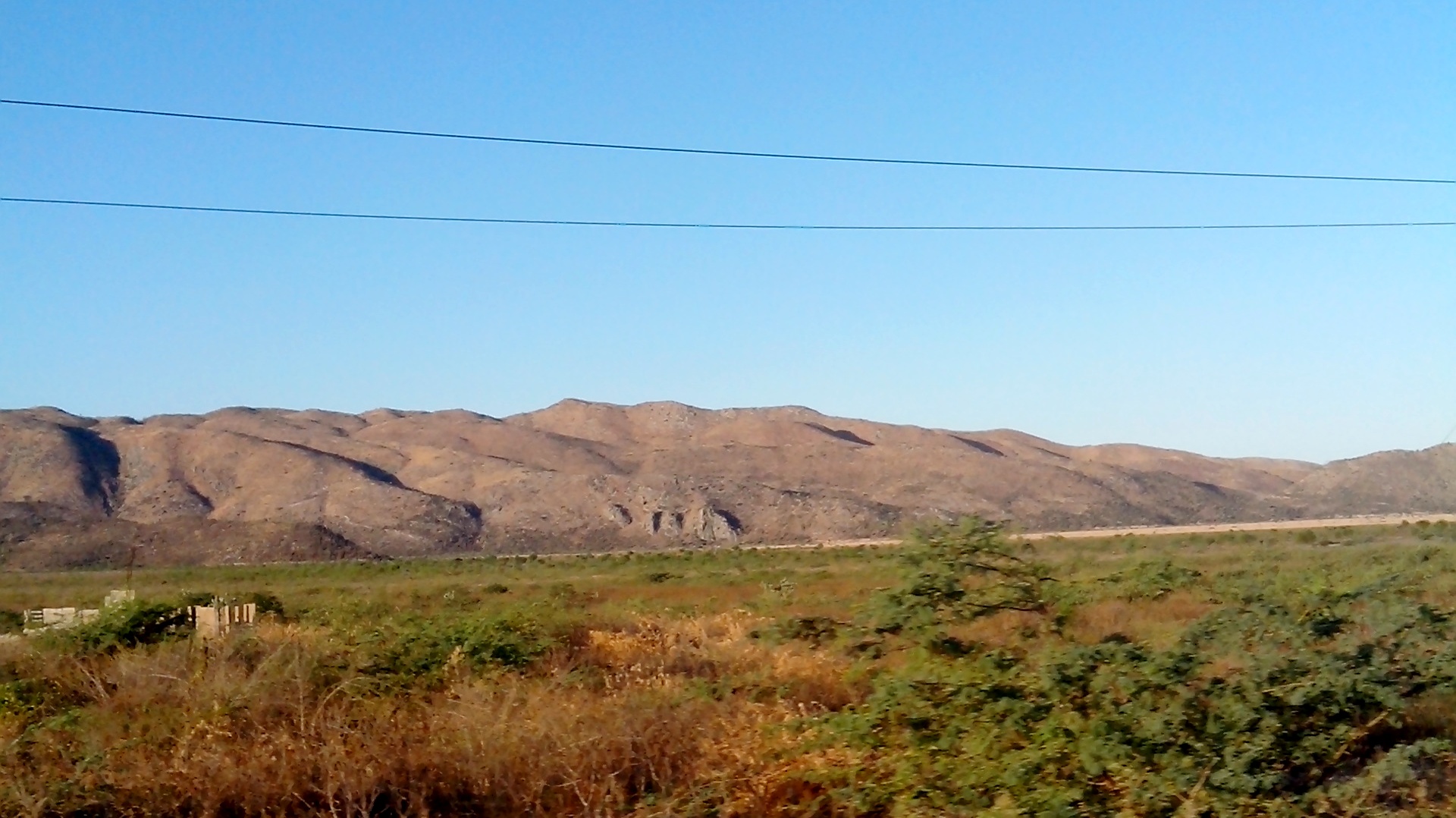 Savane d&eacute;sol&eacute;e-Cr&eacute;dit photo: Osman J&eacute;r&ocirc;me 